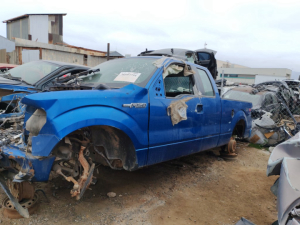2010 Ford F-150